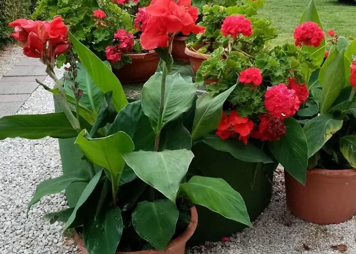 Appartement Am By Interhome *